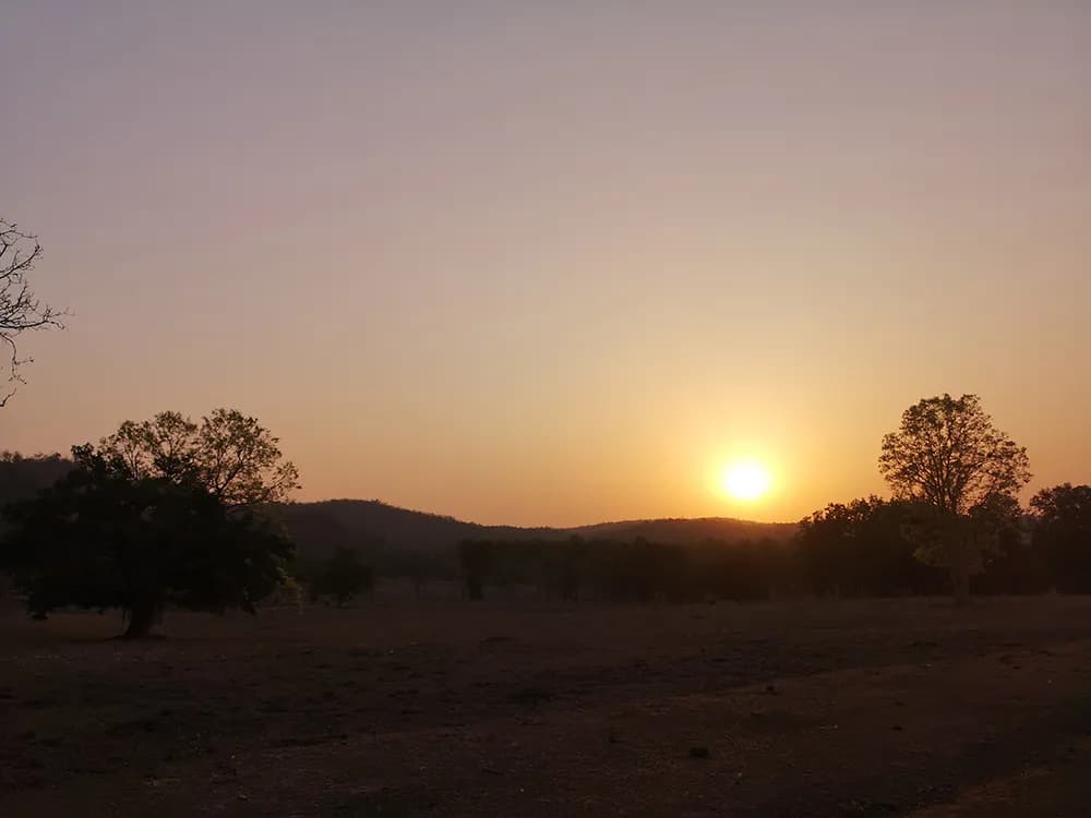 Kanha National Park Safari visual 2