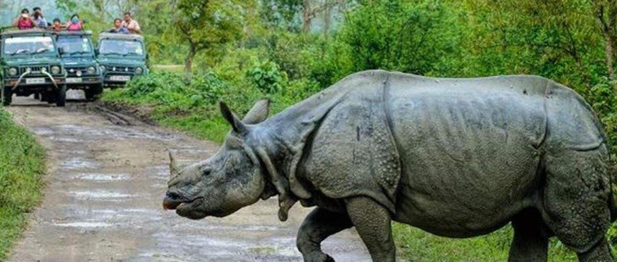 Kaziranga National Park route from Kolkata