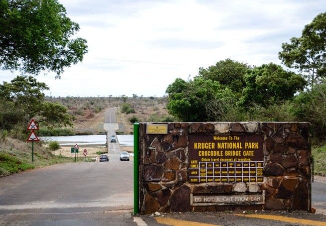 Kruger National Park Safari scenic backdrop