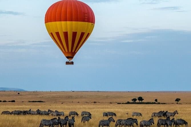 Maasai Mara: Africa's Greatest Wildlife Stage, Year-Round