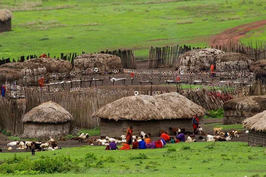 Maasai Mara: Africa's Greatest Wildlife Stage, Year-Round