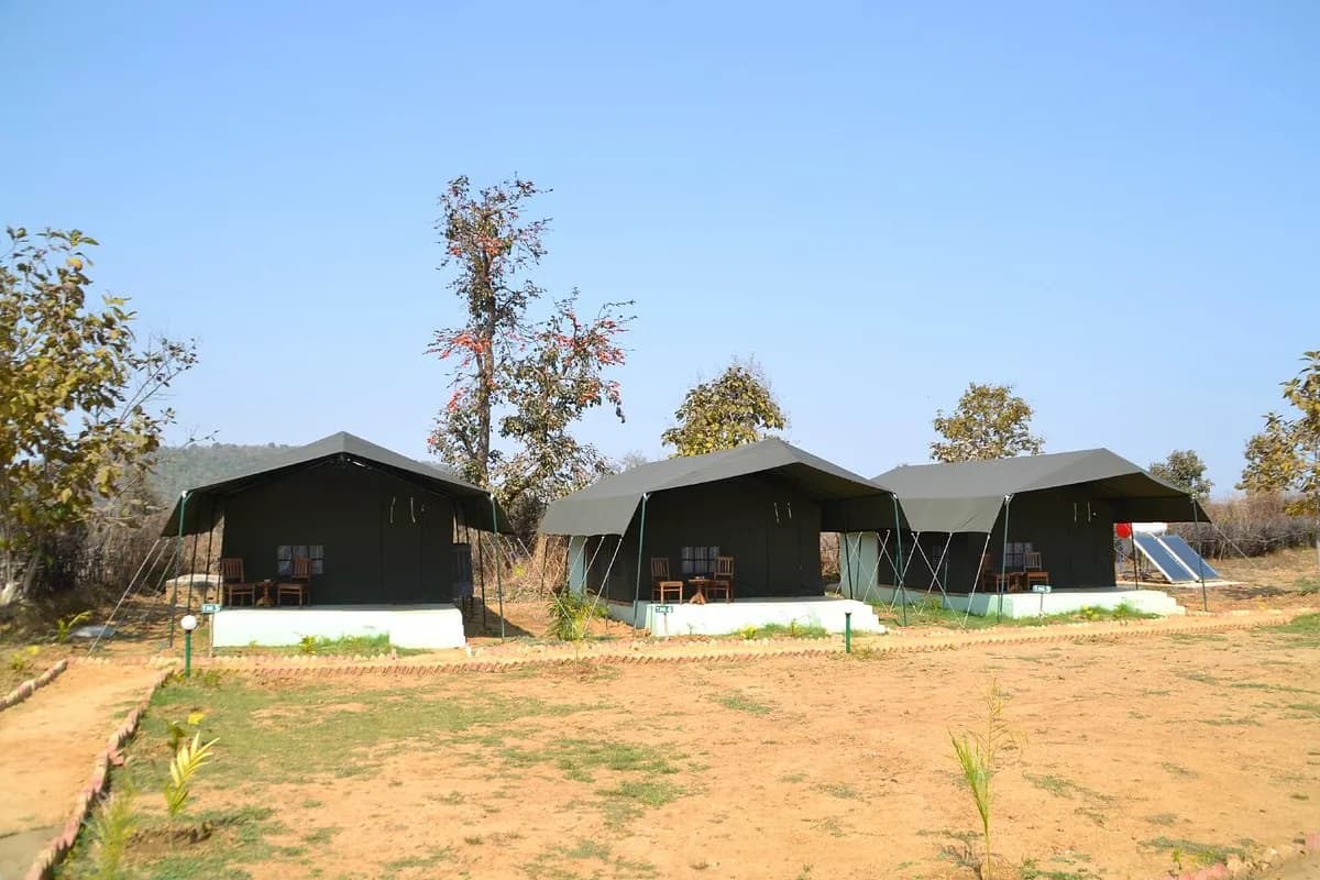 Navegaon Nagzira Tiger Reserve Safari visual 1