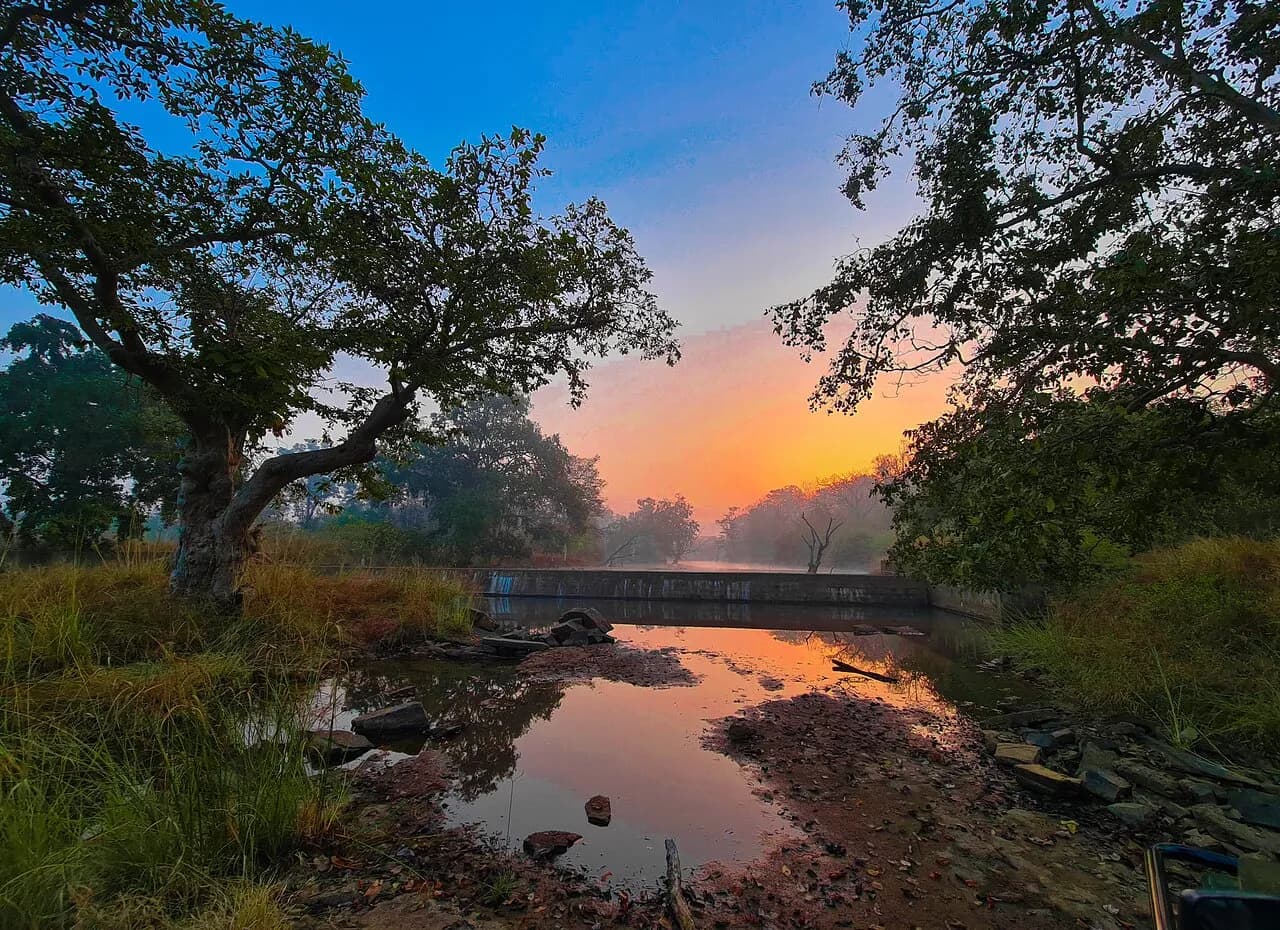 Panna Tiger Reserve Safari visual 2