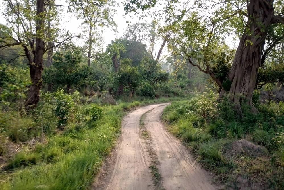 Rajaji National Park Safari visual 1