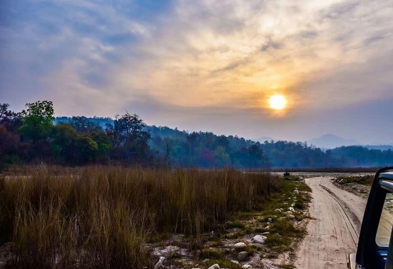 Rajaji National Park Safari scenic backdrop