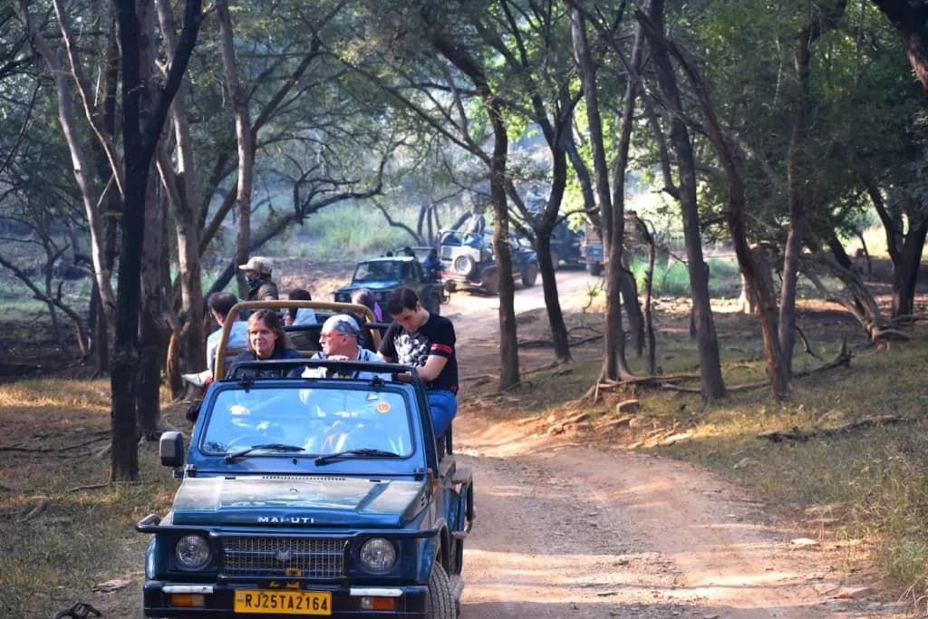 Ranthambore National Park route from Kolkata