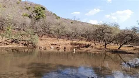 Ranthambore National Park Safari visual 1