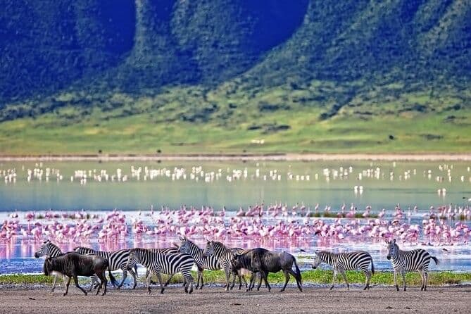 Serengeti National Park Safari scenic backdrop