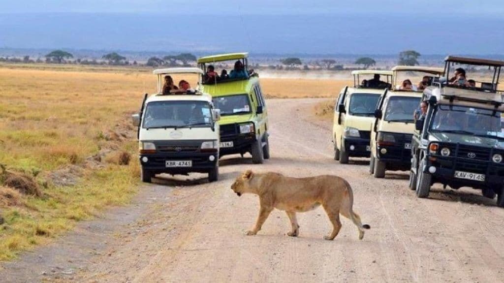 Tsavo: Kenya's Wild Heart — Red Elephants, Lava Plains & Zero Crowds