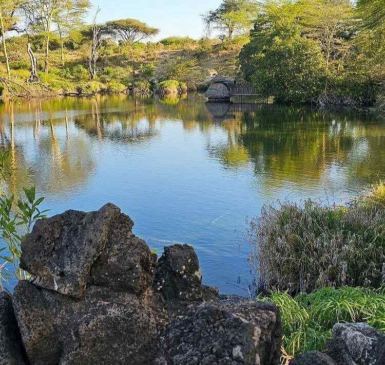 Tsavo: Kenya's Wild Heart — Red Elephants, Lava Plains & Zero Crowds