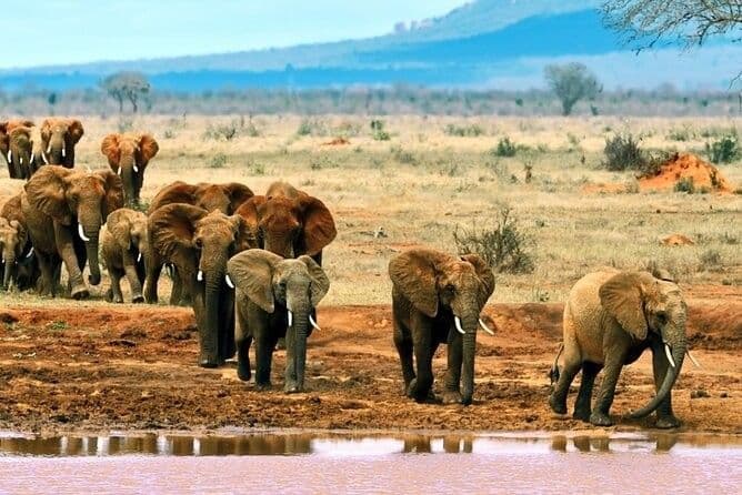 Tsavo East & West Safari visual 1