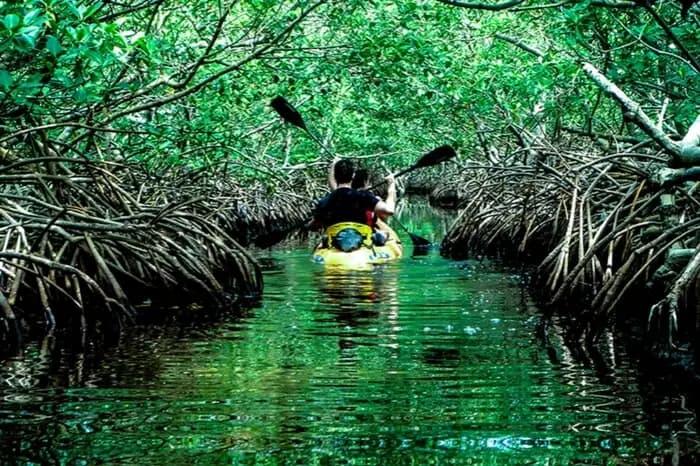 Andaman Tour Package visual 2