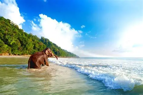 The Andamans: India's Island Secret That Won't Stay Hidden Much Longer