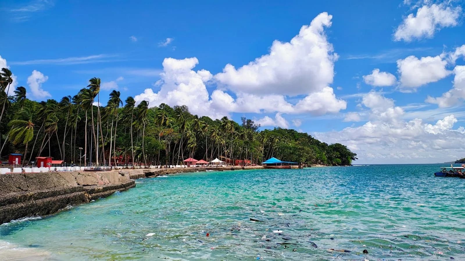 Andaman Tour Package scenic backdrop