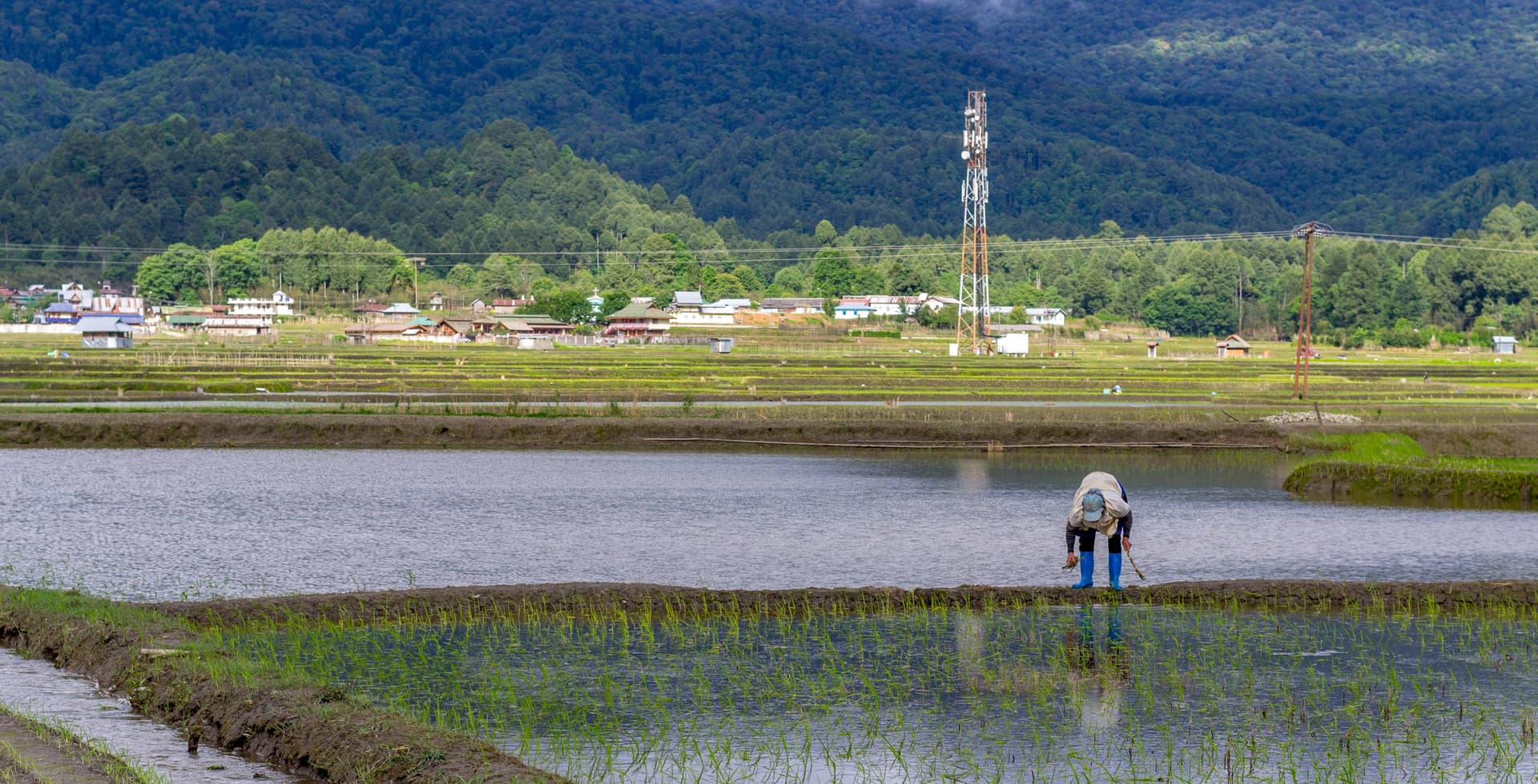 Arunachal Pradesh (Central & East) Tour Package scenic backdrop