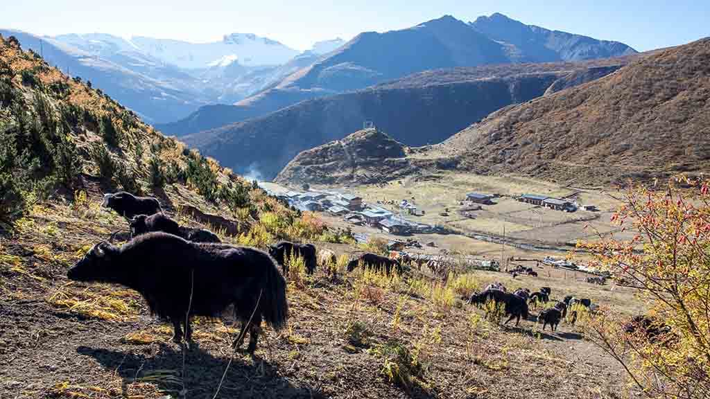 Bhutan Tour Package visual 3