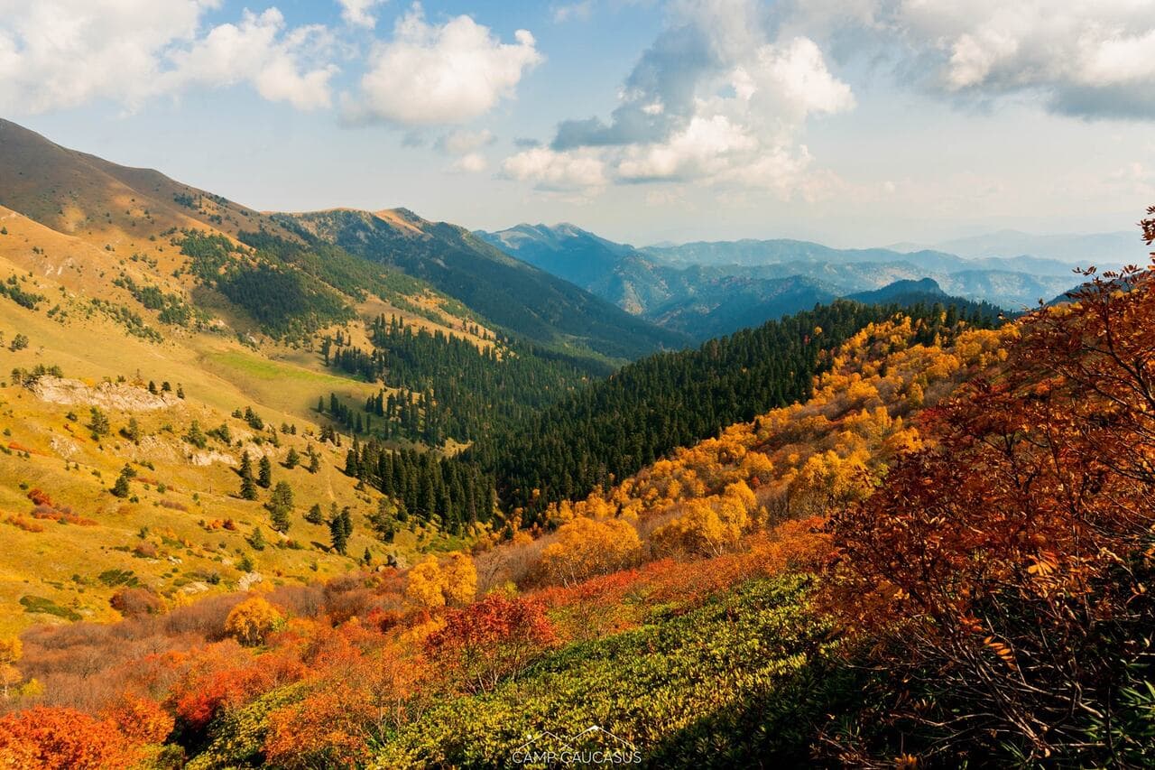 Georgia Tour Package visual 2