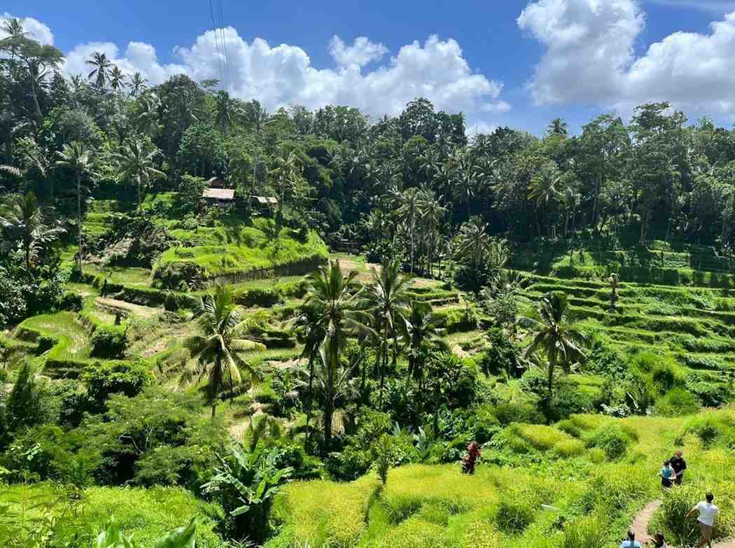 Bali Indonesia Tour Package visual 1