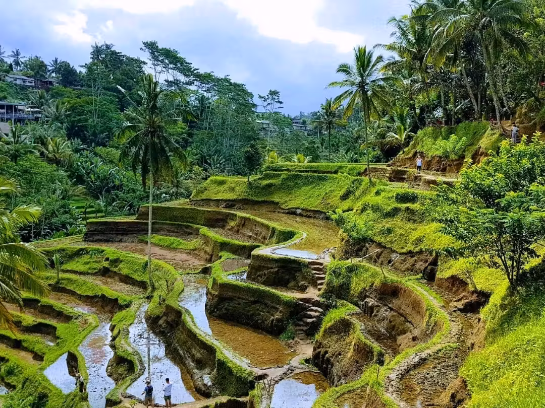 Bali: Temples, Terraces & the Island That Gets Under Your Skin