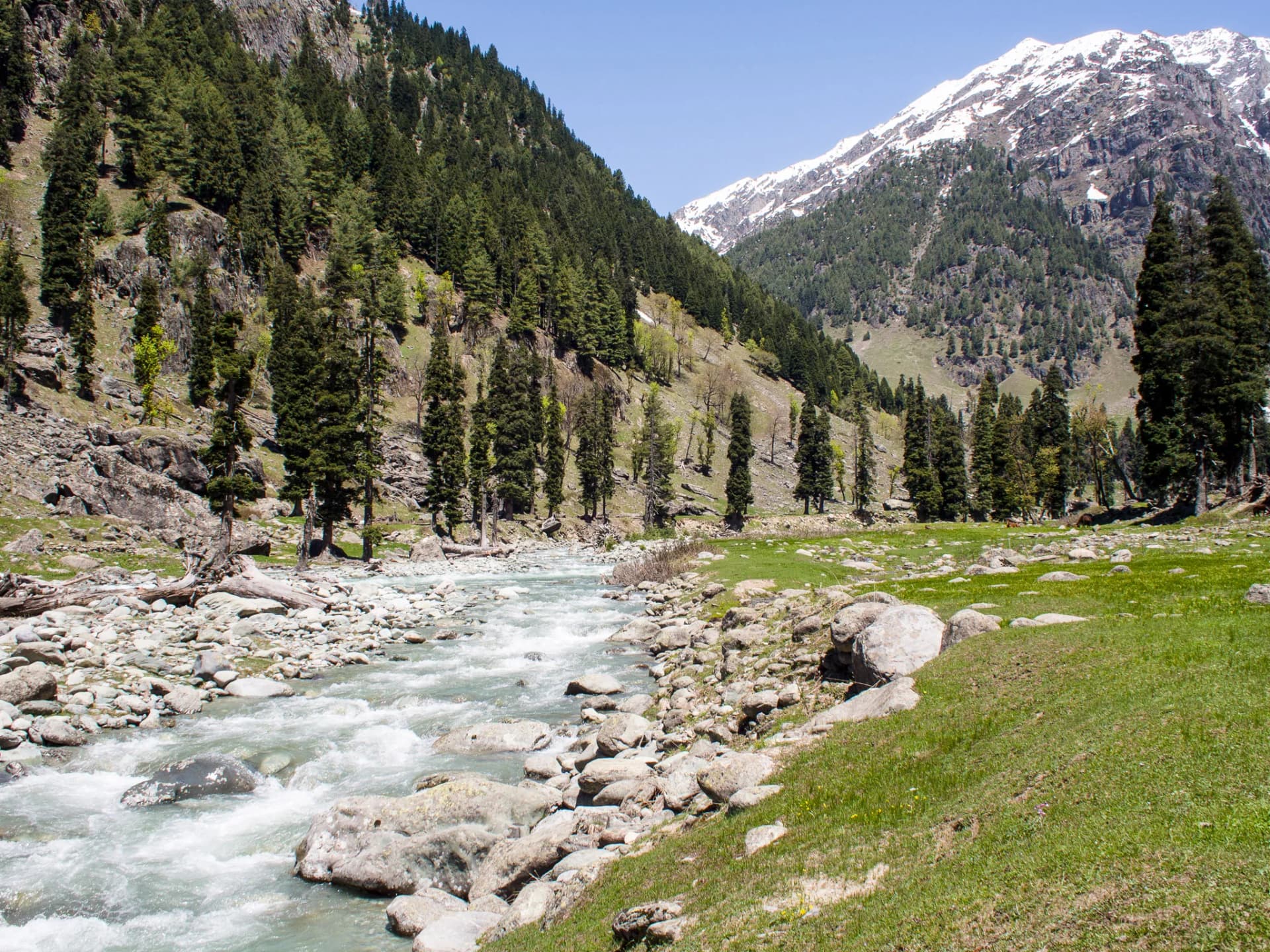 Kashmir Tour Package visual 3