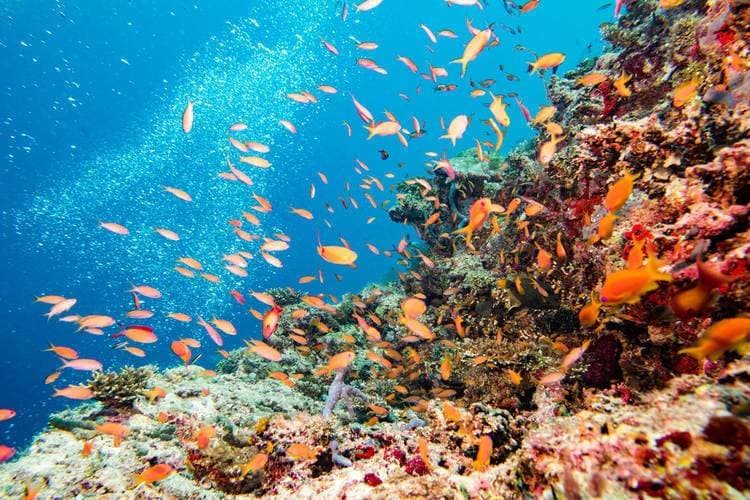 Maldives & Malaysia Combo Package scenic backdrop