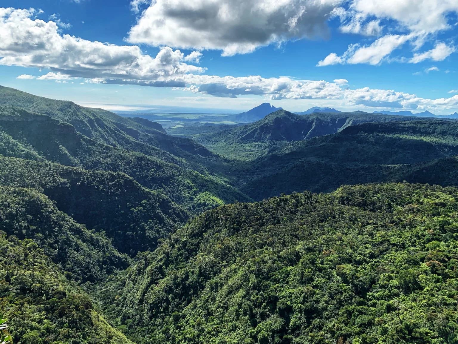 Black River Gorges National Park