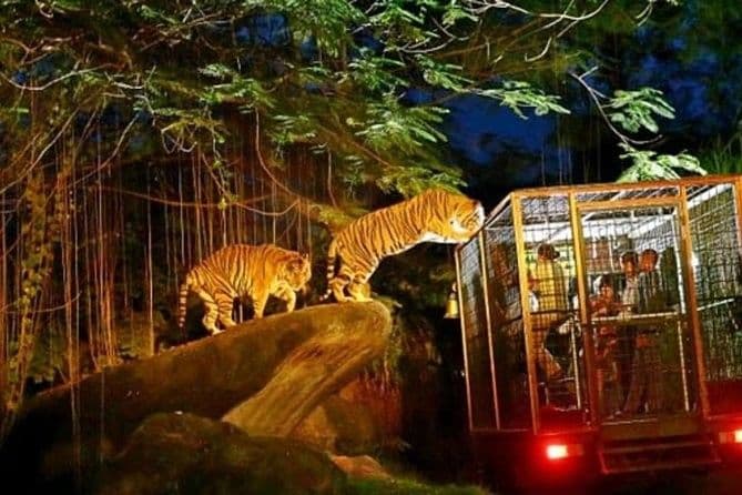Singapore Tour Package scenic backdrop