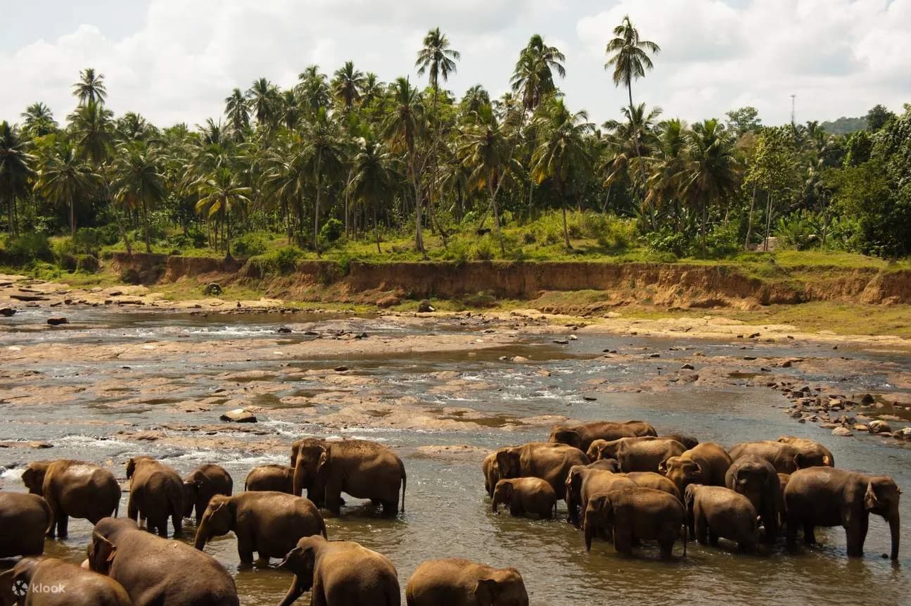 Sri Lanka Tour Package visual 3