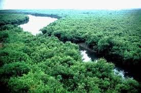 Sundarban Tour Package visual 3