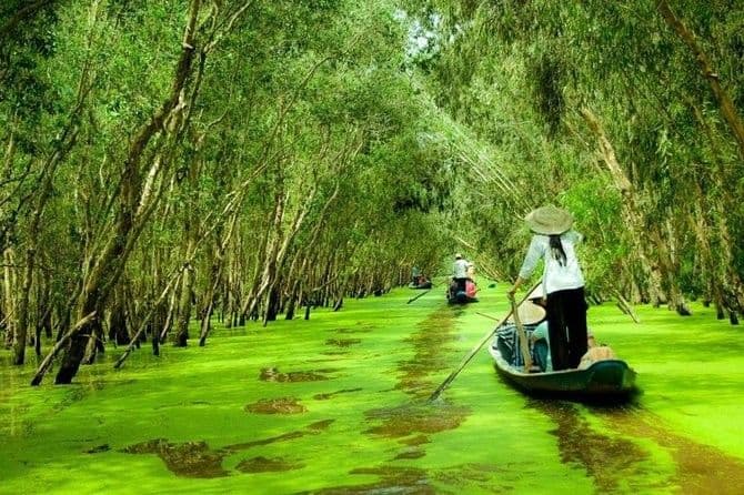 Mekong Delta Boat Tour